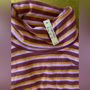 Madewell retro striped turtleneck